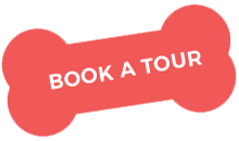Book a tour https://sauditech360.site/wp-content/uploads/2019/08/book_a_tour.png